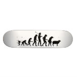 Evolution of the Masses Skateboard