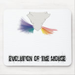 Evolution of the mouse mousepads
