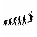 Evolution of Volleyball t-shirts