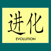 EVOLUTION POSTCARD postcards