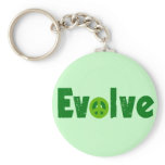 Evolve keychains