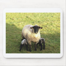 Ewe and lambs mousepad