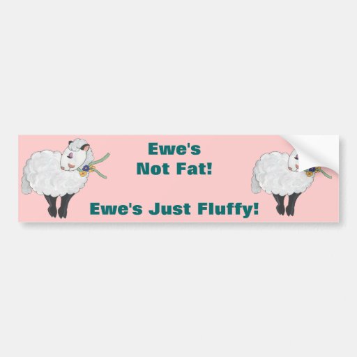 Ewe S Not Fat 37