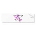 Ex-Boyfriend of the Bride bumper stickers