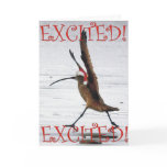 Excited Curlew Christmas cards