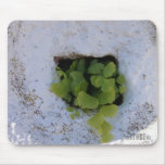 Exclusive Mousepad - Wall 044