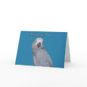 Excuse Me Birthday cards