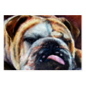 Exhausted (Bulldog) ACEO Art Trading Cards business cards