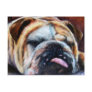 Exhausted (Bulldog) Postcards