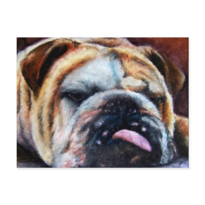 Exhausted (Bulldog) Postcards by jaisjewels