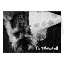 Exhausted Puppy with Party Hat Birthday Card