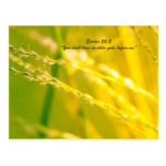 Exodus 20:3 post card