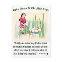 Exodus 2:3 - Baby Moses on the Nile River