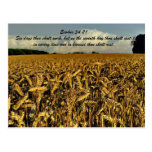 Exodus 34:21 Six days thou shalt work, but on the Postcards