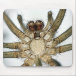 exoskeleton spider mousepads