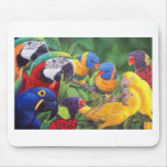 "Exotic Beauty" Mouse Pad