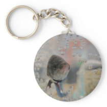 Exotic Betta Fish Looking At me Keychain