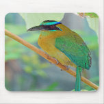 Exotic Bird Mousepad