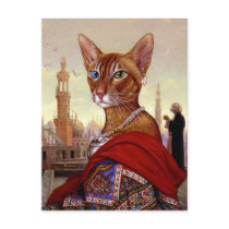 Exotic Cat 1