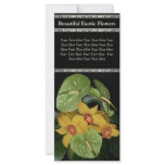 Exotic Floral Arrangement Flower Delivery rack cards