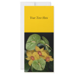 Exotic Flower Delivery-scroll down black borders Custom Rack Cards