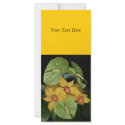 Exotic Flower Delivery-scroll down black borders rack cards