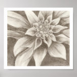 Exotic Flower Drawing posters