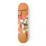 exotic painting skateboards