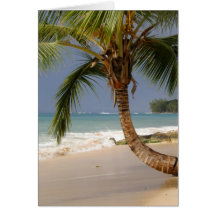exotic palm tree on beach greeting cards
