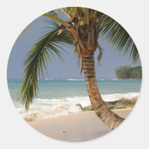 exotic palm tree on beach sticker