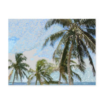 Exotic Palm Trees Postcard