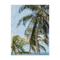 Exotic Palm Trees Postcard