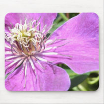 Exotic Purple Flower Mousepads