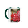 Exotic red torch ginger flower cup! coffee mugs