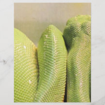 Exotic Snake Custom Flyer