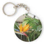 exotic tropical bird of paradise flowers key chains