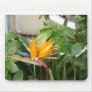 exotic tropical bird of paradise flowers mouse pad