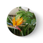 exotic tropical bird of paradise flowers pin