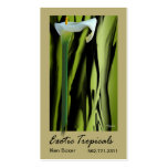 Exotic Tropicals - Florists Floral Stylists
