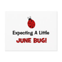 Expecting A Little June Bug Maternity