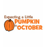 Expecting A Little Pumpkin In October t-shirts