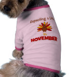 Expecting A Little Turkey in November! pet clothing
