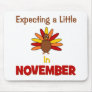 Expecting A Little Turkey in November!