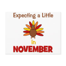 Expecting A Little Turkey in November!