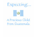 Expecting a Precious Child from Guatemala t-shirts