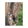 Expedition Everest Roller Coaster Postcards