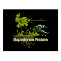 Experience Nature Postcard