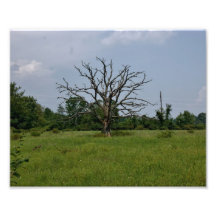 Exposed 10x8 Photographic Print