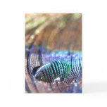 Exposed Card