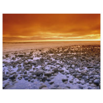 Exposed reef, low tide, Baja, California Flyer Design